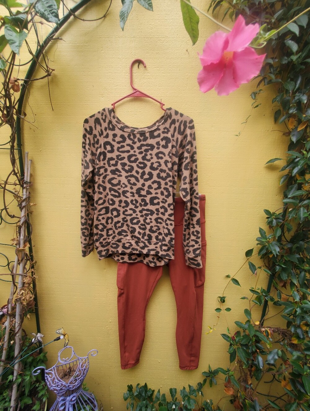 Leopard Print Long Sleeve Top and Rust Leggings Set